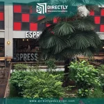 Istanbul Bilgi Üniversitesi