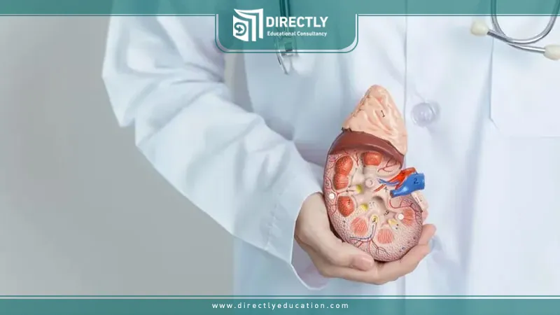 ماذا تدرس في برنامج الغسيل الكلوي بجامعة حسن كاليونجو؟